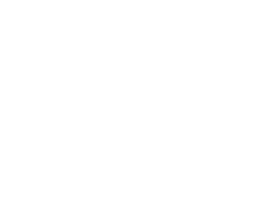 Skewer